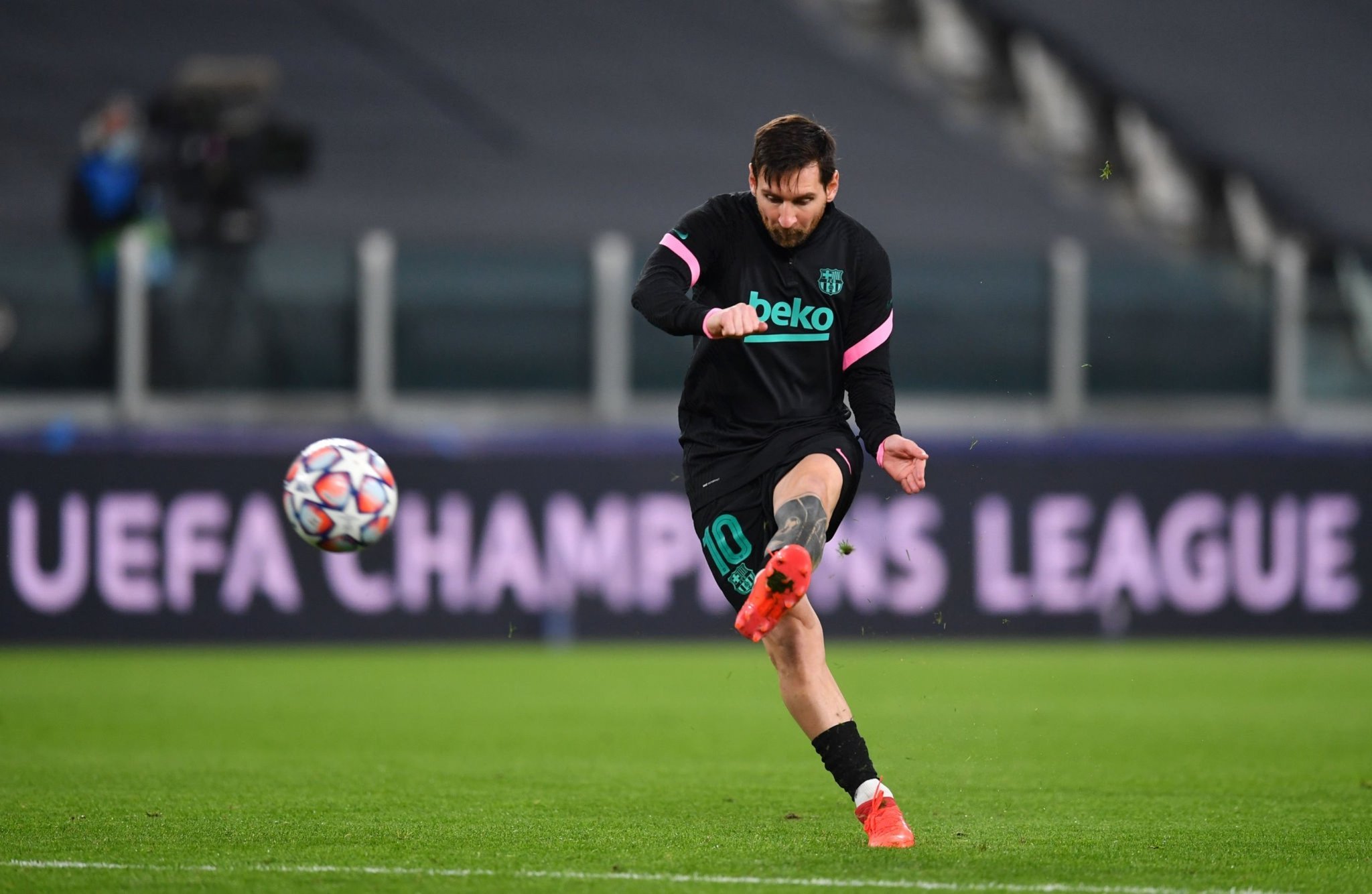 的称号尚需 的称号尚需